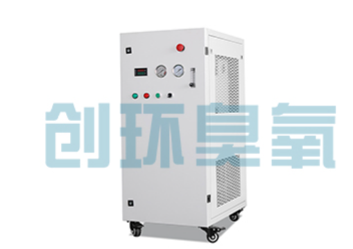 芜湖石斑鱼养殖水质调控完整指南:臭氧发生器配置与操作步骤