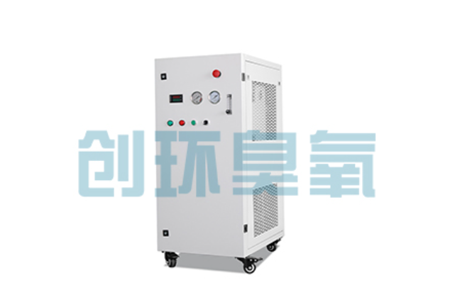 芜湖2026年石斑鱼养殖新趋势:为什么高密度循环水必须配备臭氧发生器?