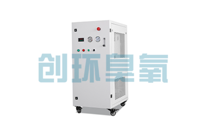 芜湖比传统换水更高效?臭氧发生器在石斑鱼养殖中的水质净化原理解析